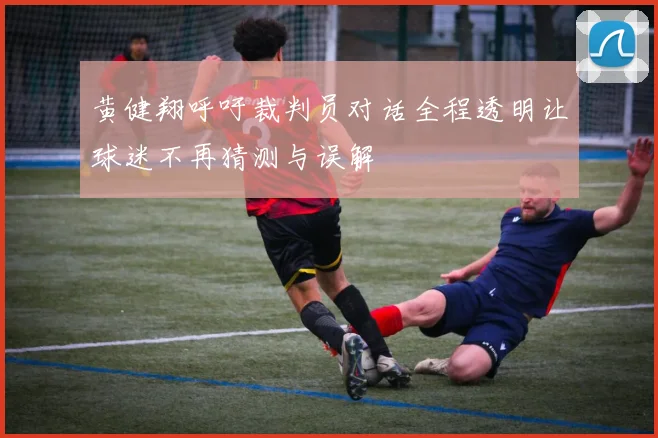 黄健翔呼吁裁判员对话全程透明让球迷不再猜测与误解